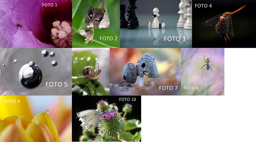 Fotowedstrijd Macro! Stem door een fotonummer aan te geven op onze facebookpagina, via mail of in de winkel!